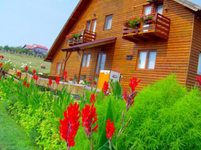 Отель Vila Altius Felix  Бэиле Феликс